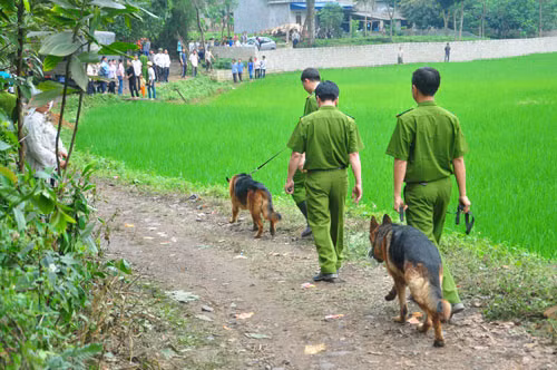 Người dân kéo nhau đến hiện trường vụ tai nạn theo dõi công tác cứu hộ. Người thân các nạn nhân vẫn ngóng chờ tin tức. Chó nghiệp vụ được huy động. Ban chỉ huy cứu nạn tính toán các phương án giảm thiểu thiệt hại.
