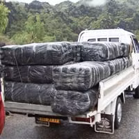 Một tấn cần sa khô trên đường đi tiêu thụ đã bị bắt