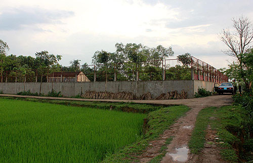  Sống cạnh... đàn cọp tại Thanh Hóa ảnh 2