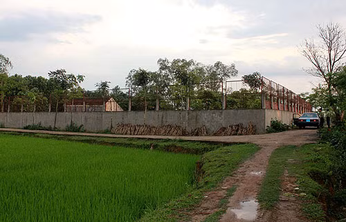  Sống cạnh... đàn cọp tại Thanh Hóa ảnh 2