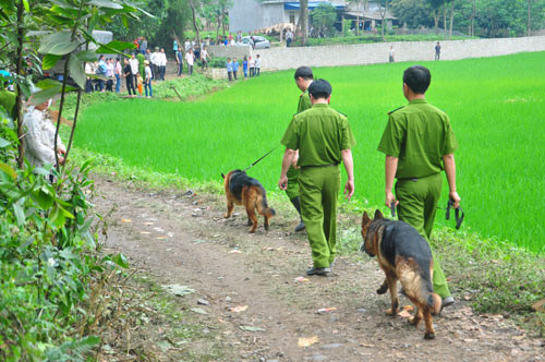 Người dân kéo nhau đến hiện trường vụ tai nạn theo dõi công tác cứu hộ. Người thân các nạn nhân vẫn ngóng chờ tin tức. Chó nghiệp vụ được huy động. Ban chỉ huy cứu nạn tính toán các phương án giảm thiểu thiệt hại. Người dân kéo nhau đến hiện trường vụ tai nạn theo dõi công tác cứu hộ. Người thân các nạn nhân vẫn ngóng chờ tin tức. Chó nghiệp vụ được huy động. Ban chỉ huy cứu nạn tính toán các phương án giảm thiểu thiệt hại.