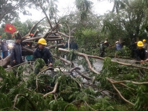 Theo thống kê sơ bộ, gió lốc đã làm nhiều cây xanh trên các tuyến đường Nguyễn Du, Đinh Tiên Hoàng, Nguyễn Văn Thủ (quận 1), Nguyễn Trãi (quận 5), Trương Định (quận 3) bị bong gốc, gẫy đổ ra mặt đường. Nhiều cây xanh trong các công viên 30/4, Tao Đàn cũng bị ngã đổ…
