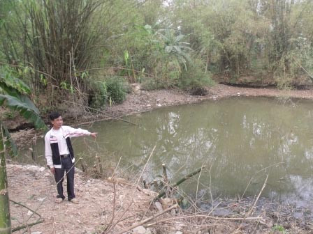 Sự thật chuyện ăn thịt "rùa thần" phải chết, Tin tức trong ngày, rua than, an thit rua than, chet, tin don, me tin di doan, rua thieng, bao, tin tuc, tin hot, tin hay