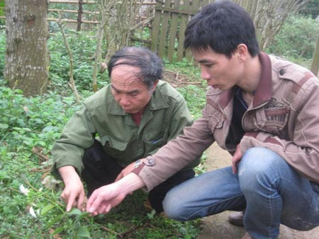 Rùng rợn “lời nguyền ma ngón” ảnh 1 Rùng rợn “lời nguyền ma ngón”, Tin tức trong ngày, tu tu bang la ngon, la ngon, ma ngon, tu tu, loi nguyen, bao, tin tuc, tin hot, tin hay
