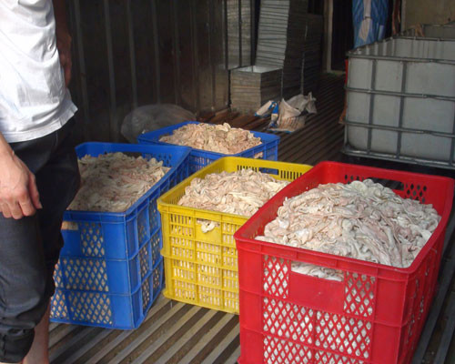 Gần 8 tấn lòng thối ngâm hóa chất tẩy rửa được phát hiện vào ngày 18.4 tại cơ sở của ông Hương - Ảnh: K.C