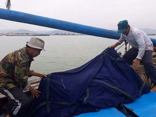 Dù buồn, nhưng nhiều ngư dân vẫn chấp nhận đánh bắt xuyên tết vì đi vào đợt này thường mang lại thu nhập cao hơn ngày thường. (Ảnh: H.H)