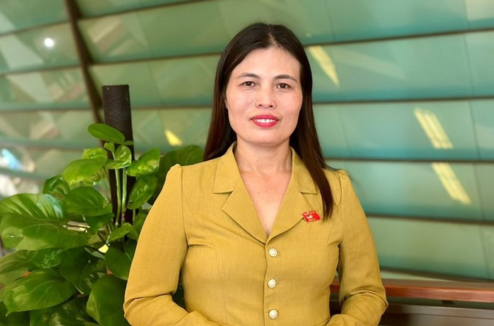 Đại biểu Quốc hội Hồ Thị Minh - Đoàn Đại biểu Quốc hội Tỉnh Quảng Trị. Ảnh: NVCC. Đại biểu Quốc hội Hồ Thị Minh - Đoàn Đại biểu Quốc hội Tỉnh Quảng Trị. Ảnh: NVCC.