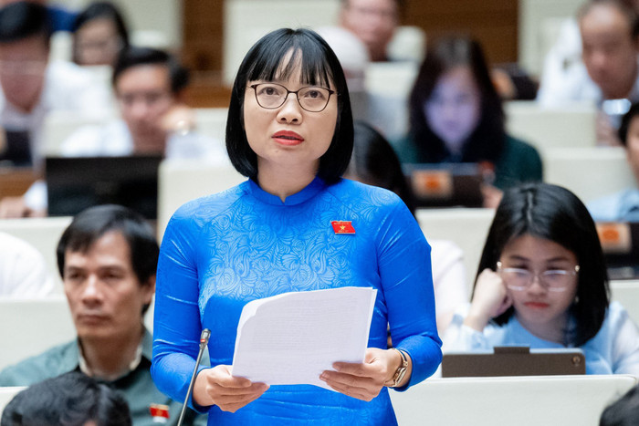 Đại biểu Quốc hội Nguyễn Thị Việt Nga - Đoàn đại biểu Quốc hội tỉnh Hải Dương. Ảnh: NVCC. IMG_1047.jpeg
