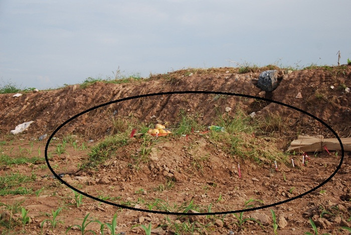 Toàn cảnh vụ phát hiện thi thể người không đầu ở Hà Nội ảnh 1 Phần thi thể không đầu của nạn nhân đang được mai táng tạm thời tại huyện Phúc Thọ, Hà Nội.