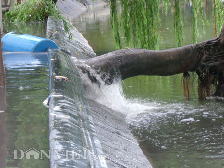 Dưới có hồ, còn phía trên lòng đường, vỉa hè cũng lại thành ao sau mưa Nước không thoát kịp xuống cống, ùn ùn đùn nước lên và chảy tràn xuống hồ Gươm Người đàn ông này bị mắc kẹt trên vỉa hè Nước lênh láng cả một đoạn dài phía đường Đinh Tiên Hoàng Có những chỗ ngập sâu đến nửa mét Bãi để xe ô tô ven hồ Gươm cũng bị ngập khá sâu Nước cống hòa nước mưa, ứ đọng, đen ngòm và kèm theo đó là mùi hôi thối nồng nặc Từng mảng váng bẩn cuộn lại theo dòng nước xoáy tràn xuống hồ Gươm Nước bẩn ào ào xối xuống lòng hồ