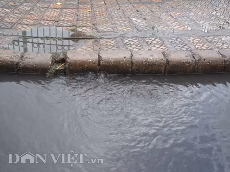 Dưới có hồ, còn phía trên lòng đường, vỉa hè cũng lại thành ao sau mưa Nước không thoát kịp xuống cống, ùn ùn đùn nước lên và chảy tràn xuống hồ Gươm Người đàn ông này bị mắc kẹt trên vỉa hè Nước lênh láng cả một đoạn dài phía đường Đinh Tiên Hoàng Có những chỗ ngập sâu đến nửa mét Bãi để xe ô tô ven hồ Gươm cũng bị ngập khá sâu Nước cống hòa nước mưa, ứ đọng, đen ngòm và kèm theo đó là mùi hôi thối nồng nặc Từng mảng váng bẩn cuộn lại theo dòng nước xoáy tràn xuống hồ Gươm Nước bẩn ào ào xối xuống lòng hồ