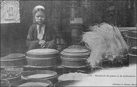 Quán bán thuốc Quán bán thuốc