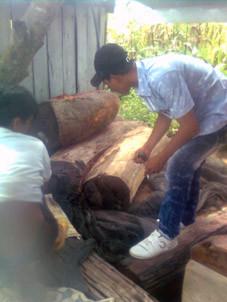 Lâm tặc đo gỗ tại nhà dân