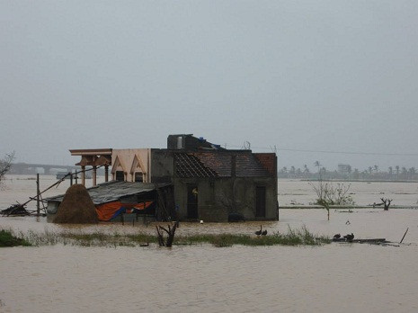 Các ngôi nhà dân bị cô lập trong nước lũ Các ngôi nhà dân bị cô lập trong nước lũ