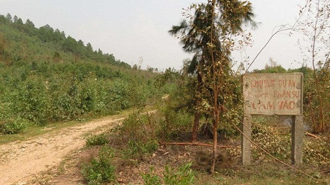 Đường vào nơi an táng Đại tướng Võ Nguyên Giáp.