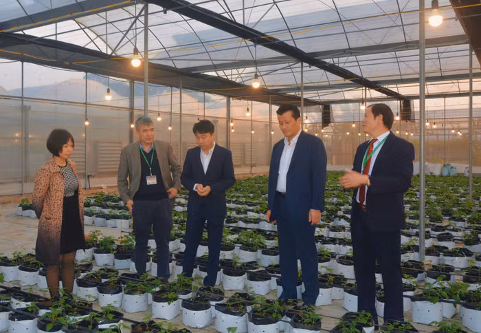 Nhà trường và doanh nghiệp tham quan vườn thực nghiệm Viện Sinh học Nông nghiệp (Học viện Nông nghiệp Việt Nam).