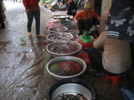 Trời rét đậm, những người buôn cá ca thán vì lo không bán được, cá sẽ nhanh chết Trời rét đậm, những người buôn cá ca thán vì lo không bán được, cá sẽ nhanh chết