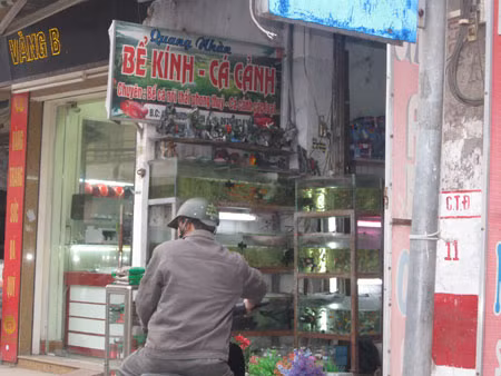 Dịch vụ dọn bể thủy sinh: Quá tải, cửa hàng chê khách! ảnh 1