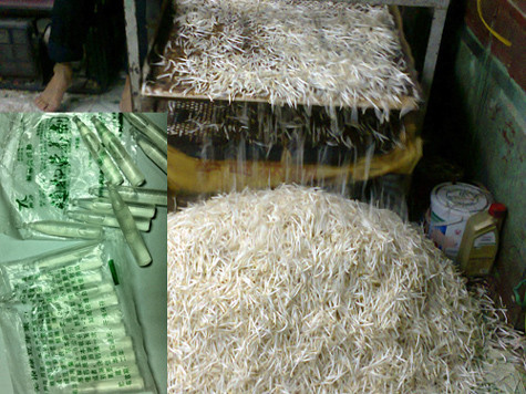 Những cọng giá thành phẩm sau khi được ủ bằng hóa chất Trung Quốc - Ảnh: Thanh Thùy Những cọng giá thành phẩm sau khi được ủ bằng hóa chất Trung Quốc - Ảnh: Thanh Thùy