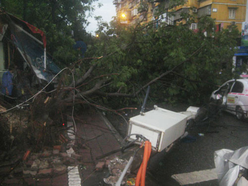Cây đè chết người: Cty cây xanh nói gì?, Tin tức trong ngày, cay do de chet nguoi, cong ty cong vien cay xanh ha noi, cay to do, cay do, cay do vao nha dan, xa cu, mua giong, mua lon, bao, tin tuc, vn