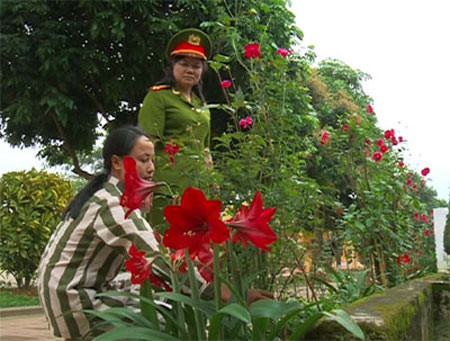 Kiều nữ đoạt mạng người tình sau ân ái, Tin tức trong ngày, le thi binh, lua tinh, an mang, kieu nu, hoa rung, bao, bao cong an, bao an ninh, vn