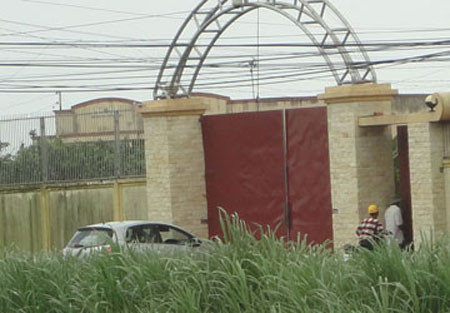 Một ngày ở trường gà cầu Ván ảnh 1 Một ngày ở trường gà cầu Ván, Tin tức trong ngày,