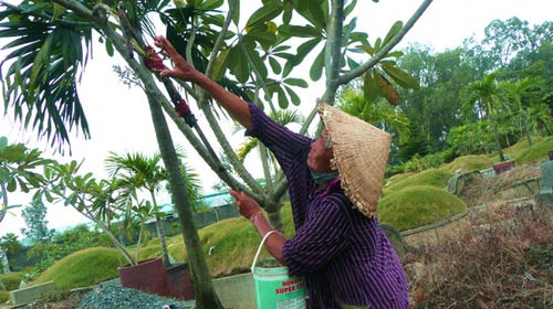 Mưu sinh trên đất... nghĩa trang ảnh 2 Mưu sinh trên đất... nghĩa trang, Tin tức trong ngày, dat nghia trang, nghia trang, nghia dia, phan mo, kinh doanh nghia trng, nghia trang binh hung hoa, mo ma, ngoi mo, bao, tin tuc, tin hot, tin hay