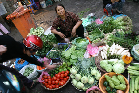 Rau tưới bằng nước bẩn rất dễ mang trùng Amip (ảnh minh họa).