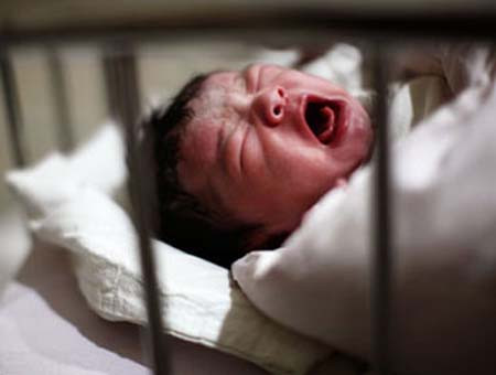 Ảnh minh họa Ảnh minh họa