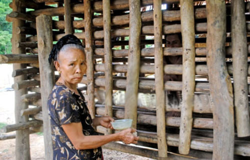 Mẹ đóng chuồng nhốt hai con thích khoả thân, Tin tức trong ngày, me nhot con, me dong chuong nhot con, khoa than, benh tam than, nguoi dien, thay cung, bao, tin tuc, tin hot, tin hay