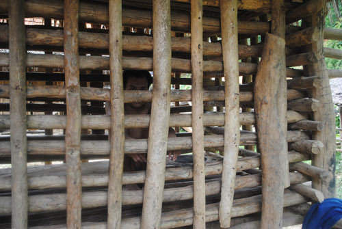 Mẹ đóng chuồng nhốt hai con thích khoả thân, Tin tức trong ngày, me nhot con, me dong chuong nhot con, khoa than, benh tam than, nguoi dien, thay cung, bao, tin tuc, tin hot, tin hay