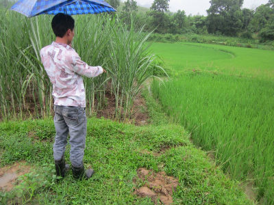 Nơi được cho là đã xảy ra vụ hãm hiếp Nơi được cho là đã xảy ra vụ hãm hiếp