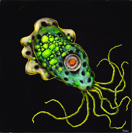 Hình ảnh amip ăn não qua mô tả đồ hoạ. Hình ảnh amip ăn não qua mô tả đồ hoạ.