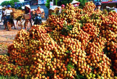 Những đống vải chất cao ngất chờ người tới mua. (Ảnh: Đại đoàn kết)