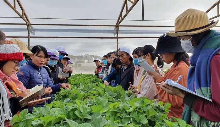 Sinh viên Trường Đại học Nông Lâm Thành phố Hồ Chí Minh. Ảnh: NTCC. Sinh viên Trường Đại học Nông Lâm Thành phố Hồ Chí Minh. Ảnh: NTCC.