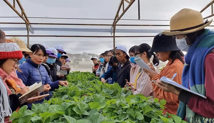 Sinh viên Trường Đại học Nông Lâm Thành phố Hồ Chí Minh. Ảnh: NTCC. Sinh viên Trường Đại học Nông Lâm Thành phố Hồ Chí Minh. Ảnh: NTCC.