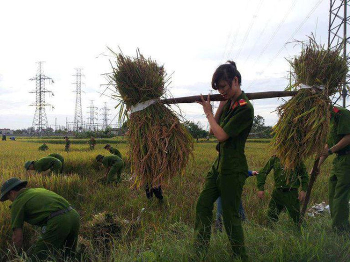 Một hình ảnh đẹp của nữ cảnh sát nhân dân. Một hình ảnh đẹp của nữ cảnh sát nhân dân.