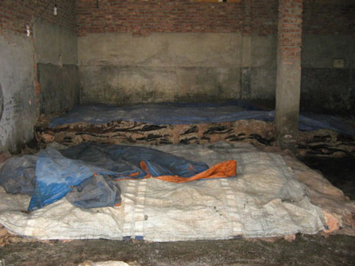 Ông Vũ Văn Đang – Phó Chủ tịch UBND xã Hòa Bình cho biết, nghề ướp da trâu, bò, lợn… giải quyết được bài toán phát triển kinh tế, nhiều gia đình giàu lên nhanh chóng. Hậu quả từ nghề là môi trường ô nhiễm thì không thể tránh khỏi, tuy nhiên còn đỡ hôi thối hơn nghề chế biến xương động vật… Ông Vũ Văn Đang – Phó Chủ tịch UBND xã Hòa Bình cho biết, nghề ướp da trâu, bò, lợn… giải quyết được bài toán phát triển kinh tế, nhiều gia đình giàu lên nhanh chóng. Hậu quả từ nghề là môi trường ô nhiễm thì không thể tránh khỏi, tuy nhiên còn đỡ hôi thối hơn nghề chế biến xương động vật…