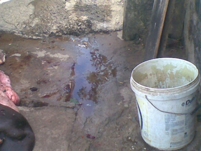 Quan sát kỹ còn thấy cả những con dòi trắng bò lổm ngổm, khiến chúng tôi không khỏi kinh hãi… Quan sát kỹ còn thấy cả những con dòi trắng bò lổm ngổm, khiến chúng tôi không khỏi kinh hãi…