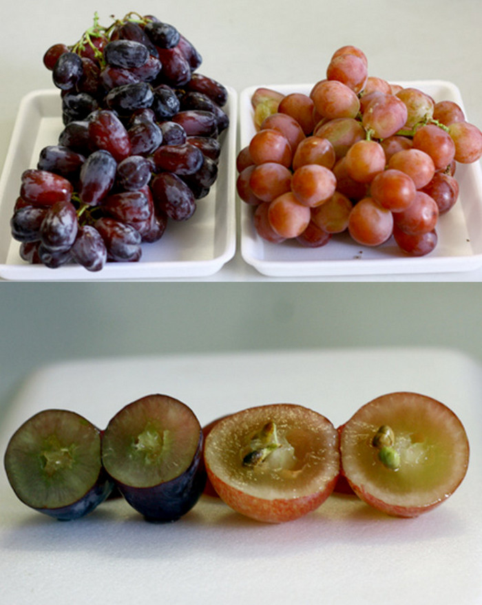 Nho Mỹ màu tím quả tròn, to, không hạt. Nho Trung Quốc quả tròn, to, nhiều hạt.