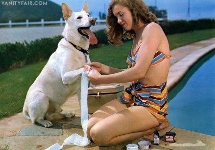 Marilyn Monroe: Nhật ký ảnh của một huyền thoại ảnh 4 Marilyn Monroe: Nhật ký ảnh của một huyền thoại ảnh 4