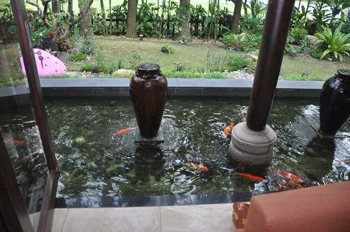 Góc nhà bình yên của Hà Kiều Anh ảnh 9 Cá bơi sát bộ sofa trong phòng khách.