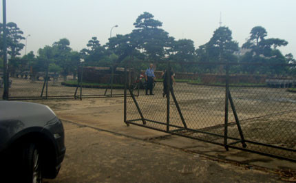 Thực hư vườn cổ tùng trị giá 1.000 tỷ đồng ở Vĩnh Phúc!