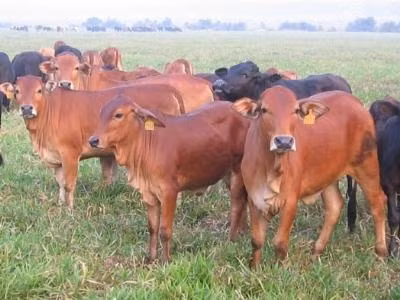 Câu chuyện xảy ra khá lâu nhưng mỗi lần nhắc đến, thẩm phán Đinh Lâm Xướng lại nhớ như in dù những sự vụ này thường không lập hồ sơ