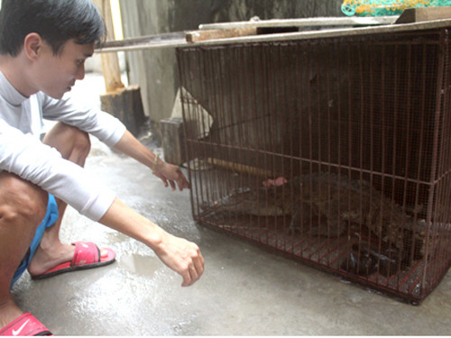 Anh Cường khoe con cá sấu bắt được trong lần đi câu. Ảnh: Hoàng Việt