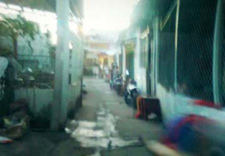 /Uploaded/phuchung/2012_11_26/55502840-1353893108-giet-anh-re.jpg