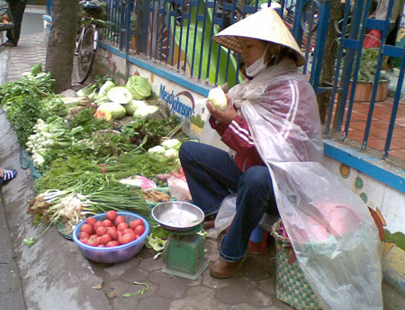 Rau tăng giá, gia vị nấu bát canh chua "mất đứt" 30.000 đồng ảnh 1 Rau tăng giá, gia vị nấu bát canh chua "mất đứt" 30.000 đồng ảnh 1