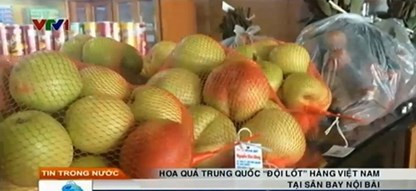 Hoa quả Trung Quốc “đội lốt” hàng Việt Nam tại sân bay Nội Bài.