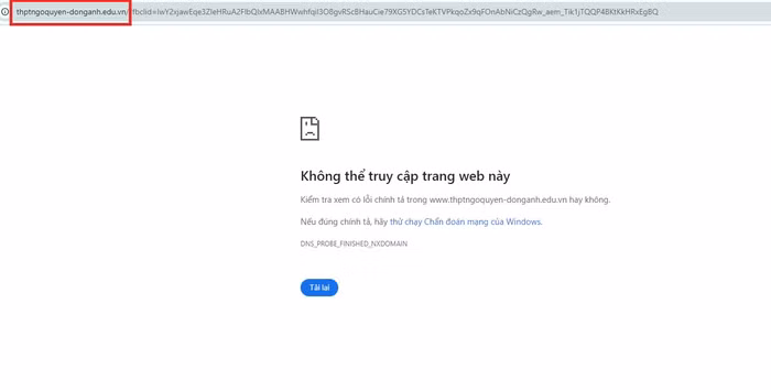 web.jpg