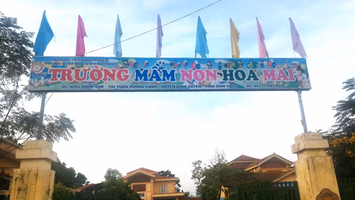 Hoa Mai.jpg
